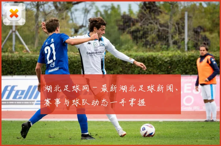 湖北足球网 - 最新湖北足球新闻、赛事与球队动态一手掌握